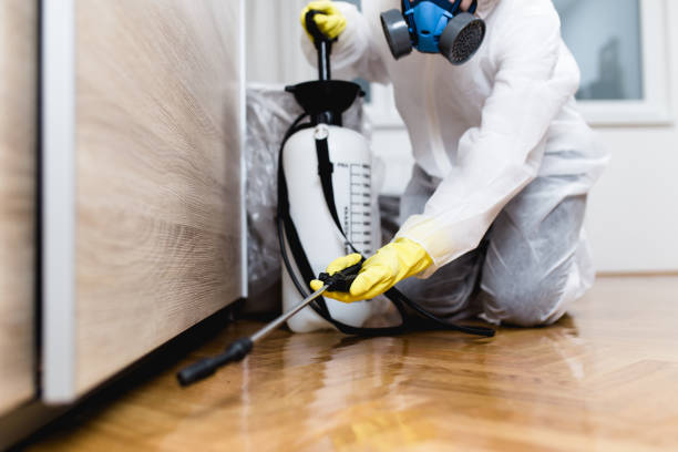 Best Wildlife Control Services  in Falmouth, VA