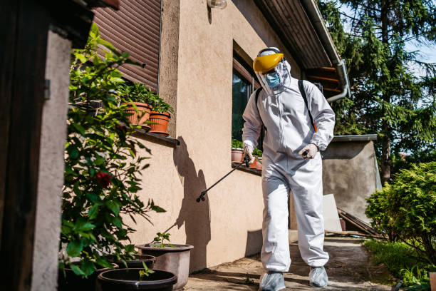 Best Affordable Pest Control Services  in Falmouth, VA